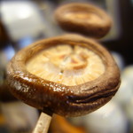 満田屋 - 醤油ダレをまぶして焼いています