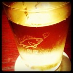 ロックフィッシュ - ハイボールをえたカサゴ