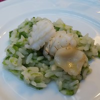 Lounge & Dining G - 