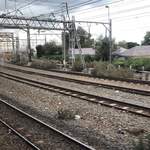 The Blue Train - 飛行機に間に合わないので空港に最寄りのKempton Park駅で途中下車しますｗ