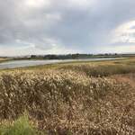 The Blue Train - 2018年5月。ブルートレインより