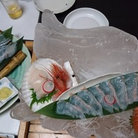 海鮮家 はこだて 本店 - 