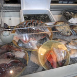 魚や 粋 - テーブルの下は魚売り場