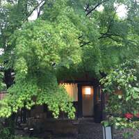 洋食 つばき - 
