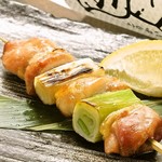 Oyamadori green onion skewers (salt)