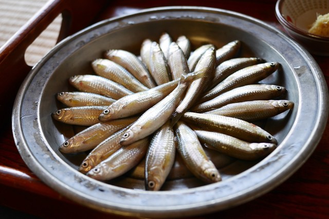 本モロコの炭火焼 By Tak Bon 魚清楼 堅田 郷土料理 その他 食べログ