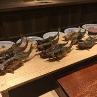 富小路 やま岸 - 鮎