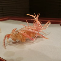 寿楽 - 「千鳥」（3,240円）コースのスタート