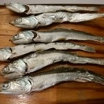 らーめん専門 和海 - 