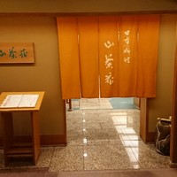 山茶花 - 
