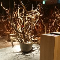 ダイナミックキッチン＆バー 響 中之島フェスティバルプラザ店 - 