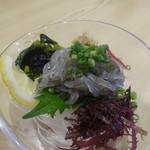 海鮮めし屋 磯人 - 茅ヶ崎産生しらす