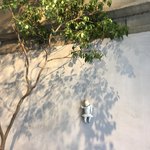 ノコス ア レタージュ - 