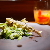 TACUBO - 