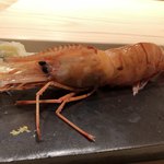 不動前 すし 岩澤 - 