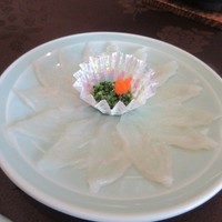 春帆楼 下関本店 - ふぐ薄造り、ふぐを薄く切ったお刺身。やっぱりふぐ料理の一番の楽しみはこれですね。
                