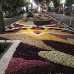 ラ・ランコントル - 帰りは歩いて長野駅そばのホテルに帰ります。善光寺花回廊が開催中で夜間もとてもきれいです！