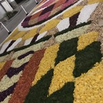 ラ・ランコントル - 善光寺花回廊が開催されていて、善光寺表参道は、色とりどりののお花のアートが！