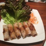 ベトナムちゃん - 