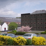 Old Bushmills Distillery - 