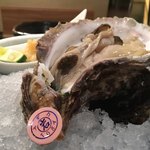 魚貝三昧 げん屋 - 