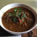 スプーンソング - チキンカレー(手羽元2本入り)