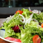 Healthy vegetable garden-style salad