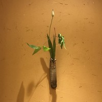 芝濱 - 