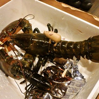 鉄板焼 はしもと_1