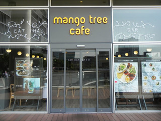 Mango Tsuri Kafe - ガラス張りで日差しが降り注ぐ日中