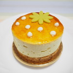 パティスリー ユウ ササゲ - シブースト　フレーズ　ピスターシュ