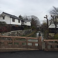 特選近江牛レストラン ティファニー - 