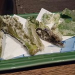 柳家 - 山菜天ぷら（タラの芽、こごみ、コシアブラ、山うど、行者ニンニク、蕗の葉っぱ）