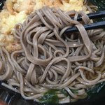 長岡やなぎ庵 - さすが蕎麦は歯ごたえがあって美味い。東京の小麦粉の多いふにゃふにゃして蕎麦とは違う