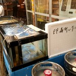 どさんこ酒場森町しげぞう - 