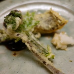 木山 - いさきと山菜の揚げ物