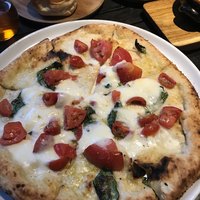 THE RIGOLETTO - 
