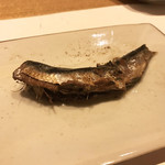 鮓 きずな - 千葉 銚子 鰯オイルサーディン