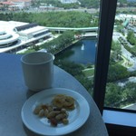 Hyatt Regency Orlando - 