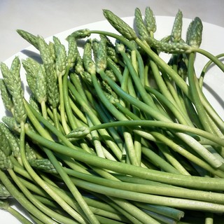 コージ・コルディアーレ_2