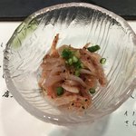 熟成寿司専門店 優雅 - 桜えび。
      美味し。