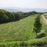 ヴィラデスト ガーデンファーム アンド ワイナリー - 畑✨