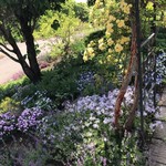 ヴィラデスト ガーデンファーム アンド ワイナリー - お花✨