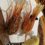 寿司 築地日本海 千葉駅前店 - 