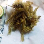 ハイタニ - てんぷら