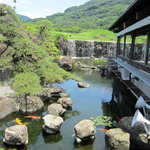 庭の景観（池）