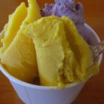 かぼちゃ、ブルーベリー、マンゴーシャーベット