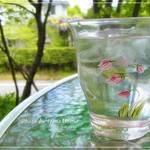 プティ ラパン - 