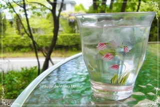 プティ ラパン - 