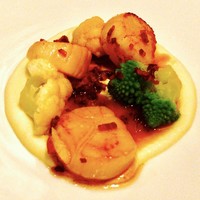 Benoit Alain Ducasse - 